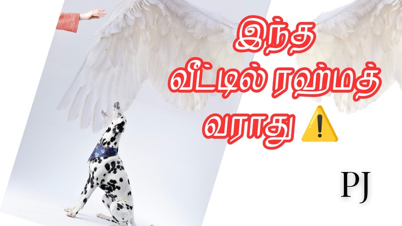 அருள் புரியும் மலக்குகள் வராத வீடு எது?👉 மலாக்குகள் நுழையாத வீடு யார்?👉 இந்த வீட்டில் ரஹ்மத் வராது 