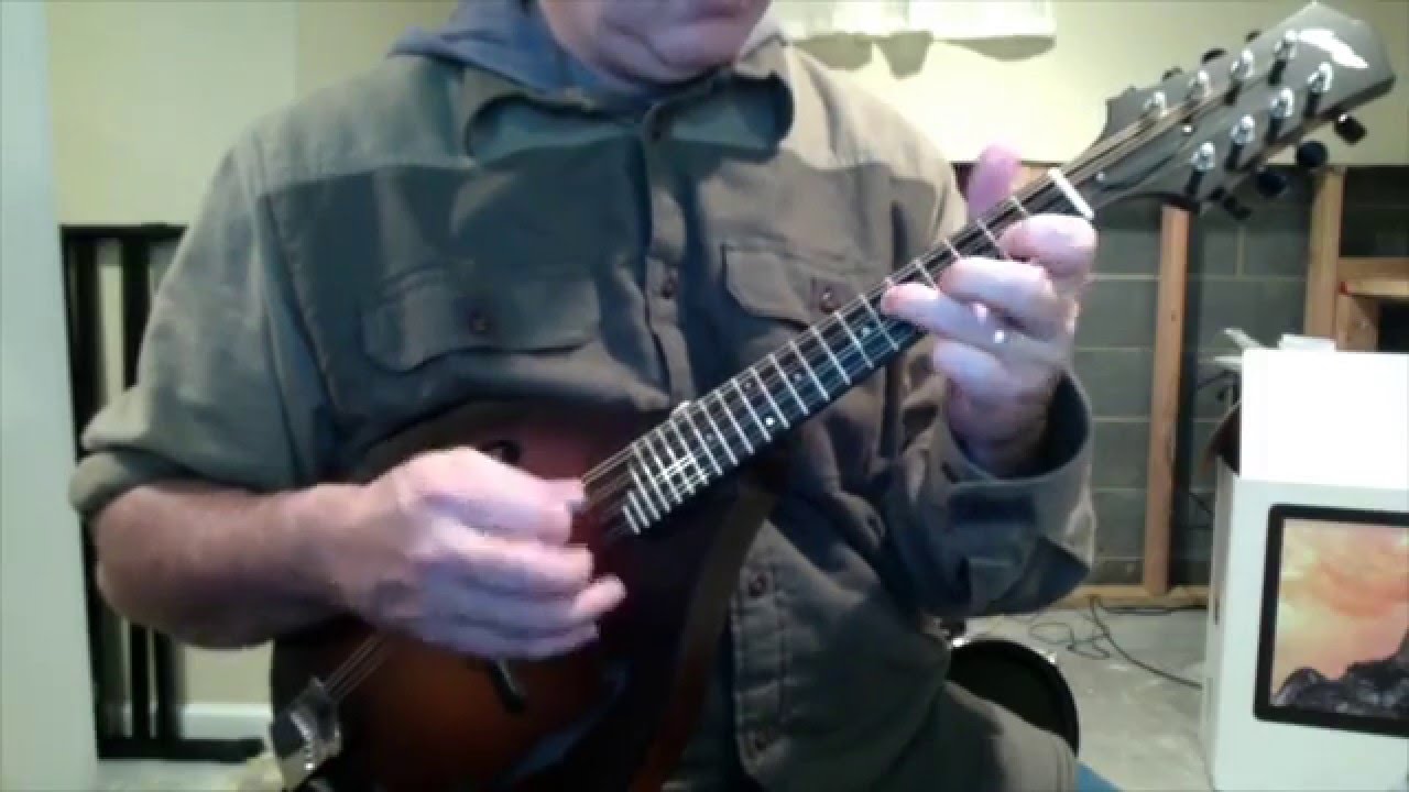Myers Mandolin Pickup overview and comparison