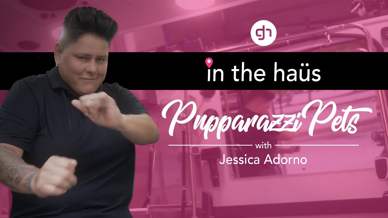 Mobile Dog Grooming Van Tour w/ Jessica Adorno