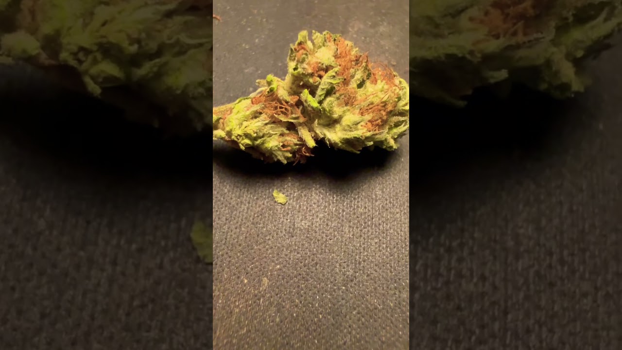 Tropical Fire THCA Flower By Nugxotic Canna Close Up Purchased Locally At South Main Tobacco & Vape