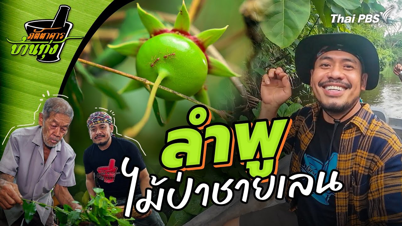 ลำพู | ภัตตาคารบ้านทุ่ง