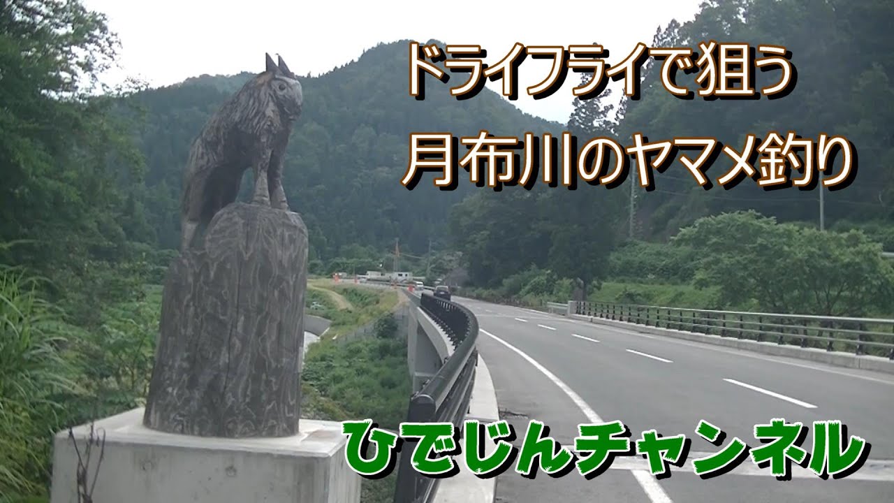ドライフライで狙う　月布川のヤマメ釣り