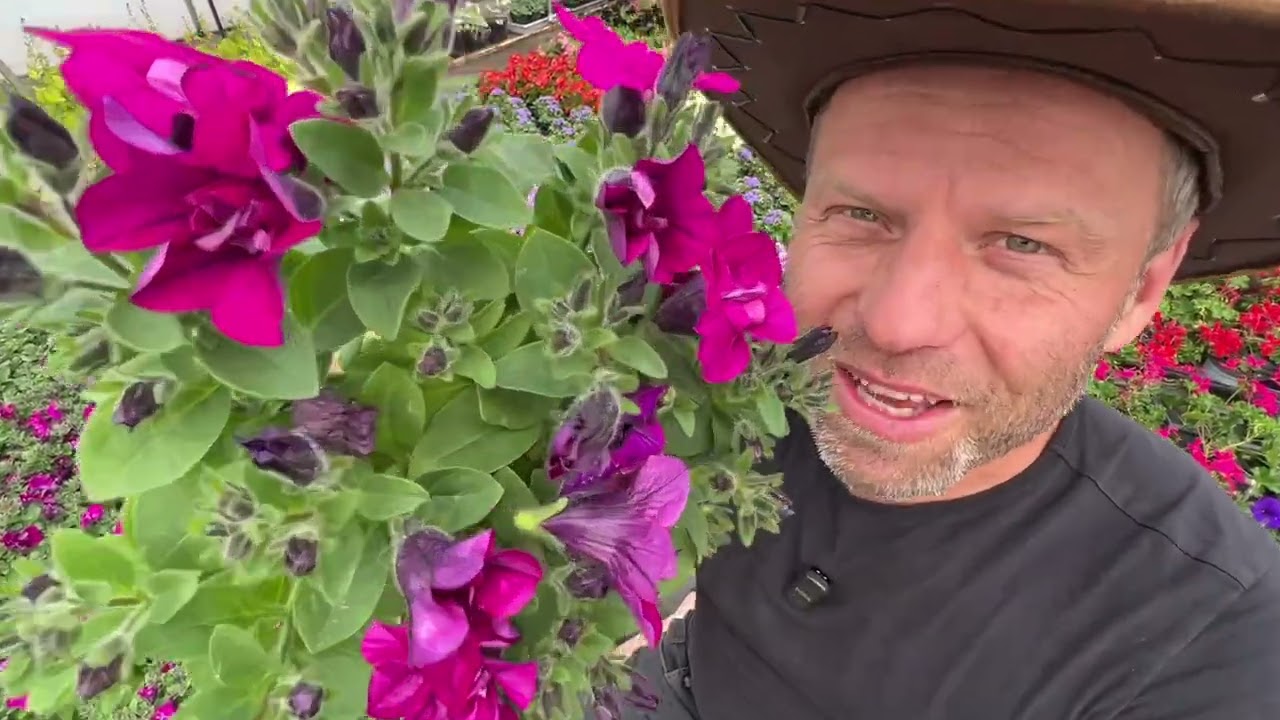 Najlepsze rośliny na balkony, tarasy i ogrody - przegląd hitów tego sezonu 🌸🌸🌸