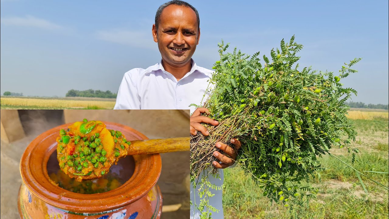 Aloo Choliya Curry Recipe | Hare Chane Ka Salan | چھولیہ بنانے کا اصل طریقہ | Village Food Secrets