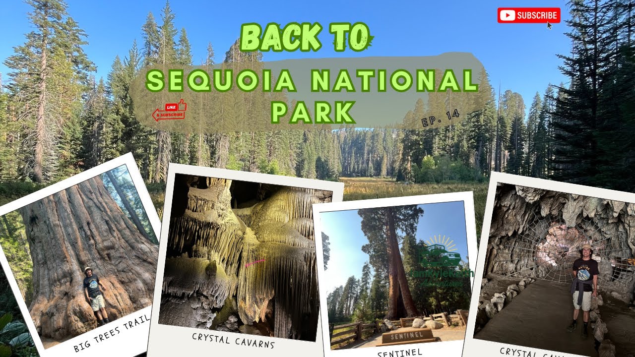 Sequoia National Park in 1 Day: Moro Rock to General Sherman (my return)
