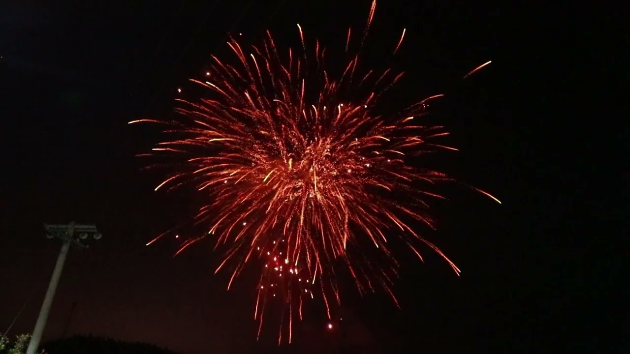 The Dogz from Celtic Fireworks @fireworkcrazy​#fireworkcrazy
