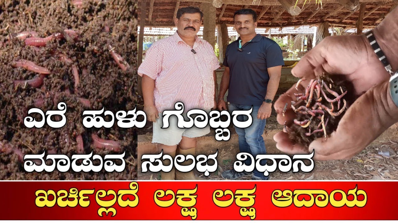 ಎರೆ ಹುಳು ಗೊಬ್ಬರ ತಯಾರು ಮಾಡುವ ಸುಲಭ ವಿಧಾನ|organic fertilizer|ere Hulu gobbara kannada|ere hula|gobbara