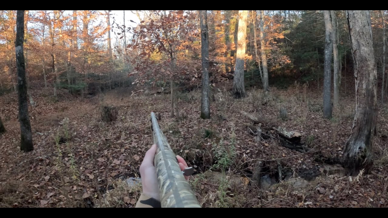 Deer Hunting With Dogs 2025 - 6 Point BUCK DOWN in Virginia!! (Multiple Shots!)