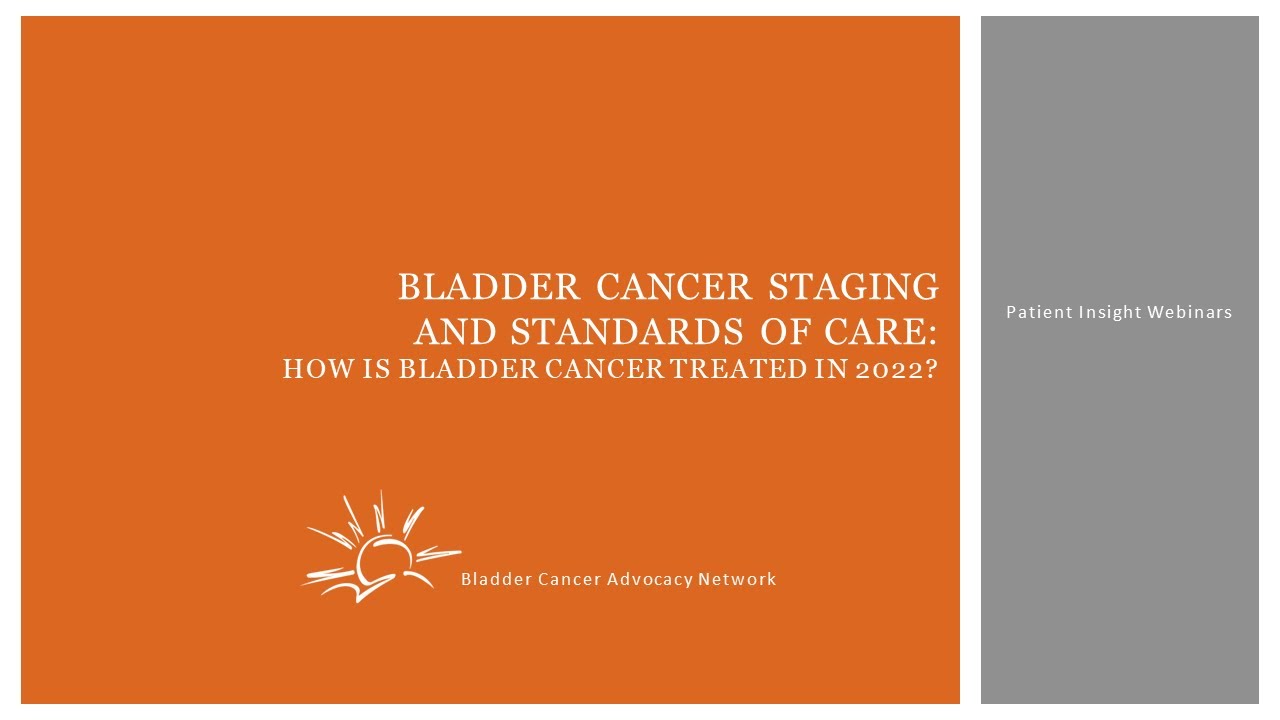 Staging and Standards of Care for Non Muscle Invasive Bladder Cancer