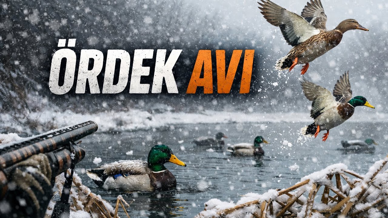 &Ouml;RDEK AVI SERCAN KARDEŞİMİN KAMERASINDAN