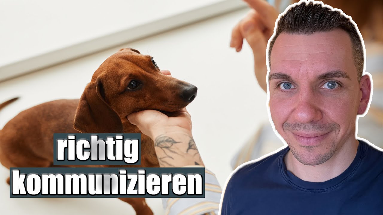 So einfach geht K&ouml;rpersprache!