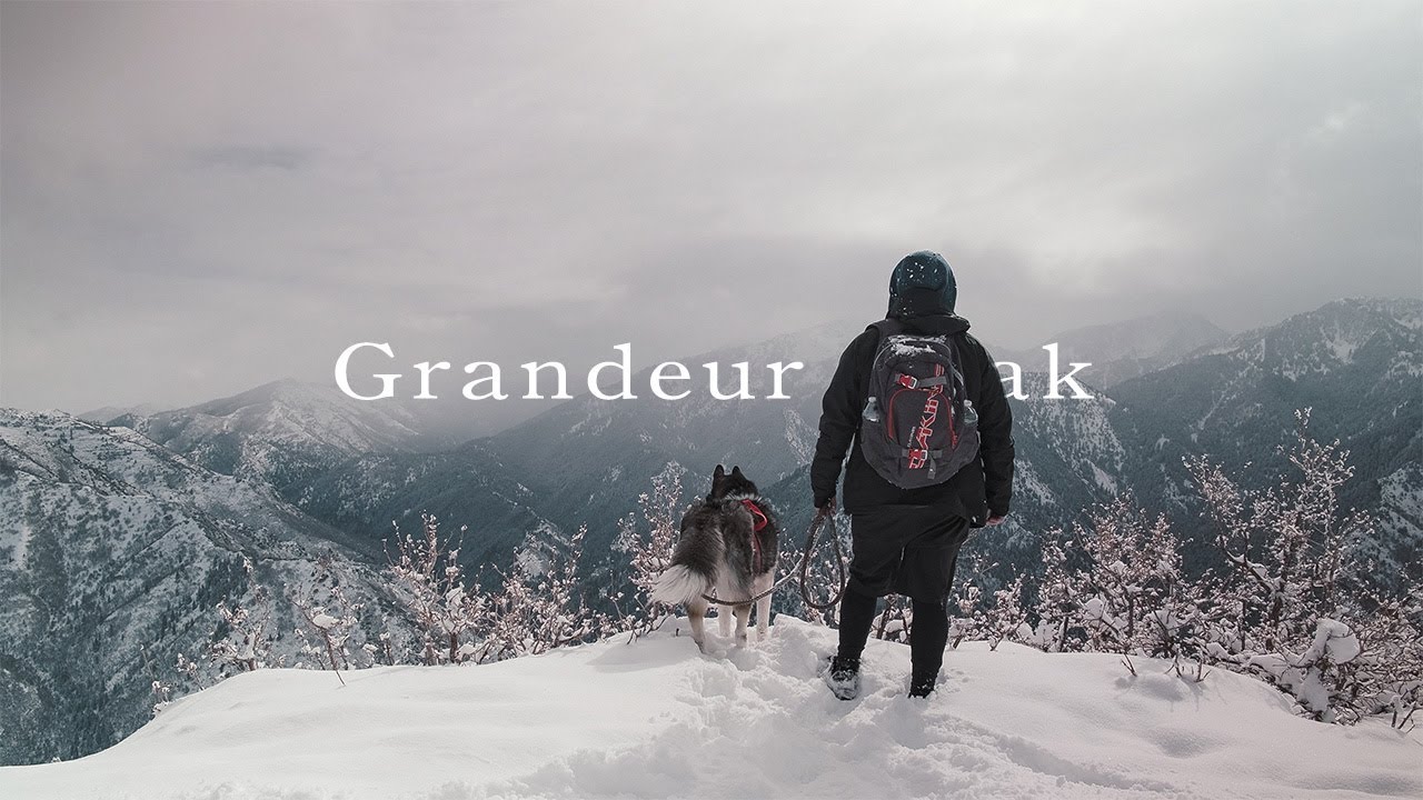 Solo Hiking 8 Miles With A Husky up Grandeur Peak Utah