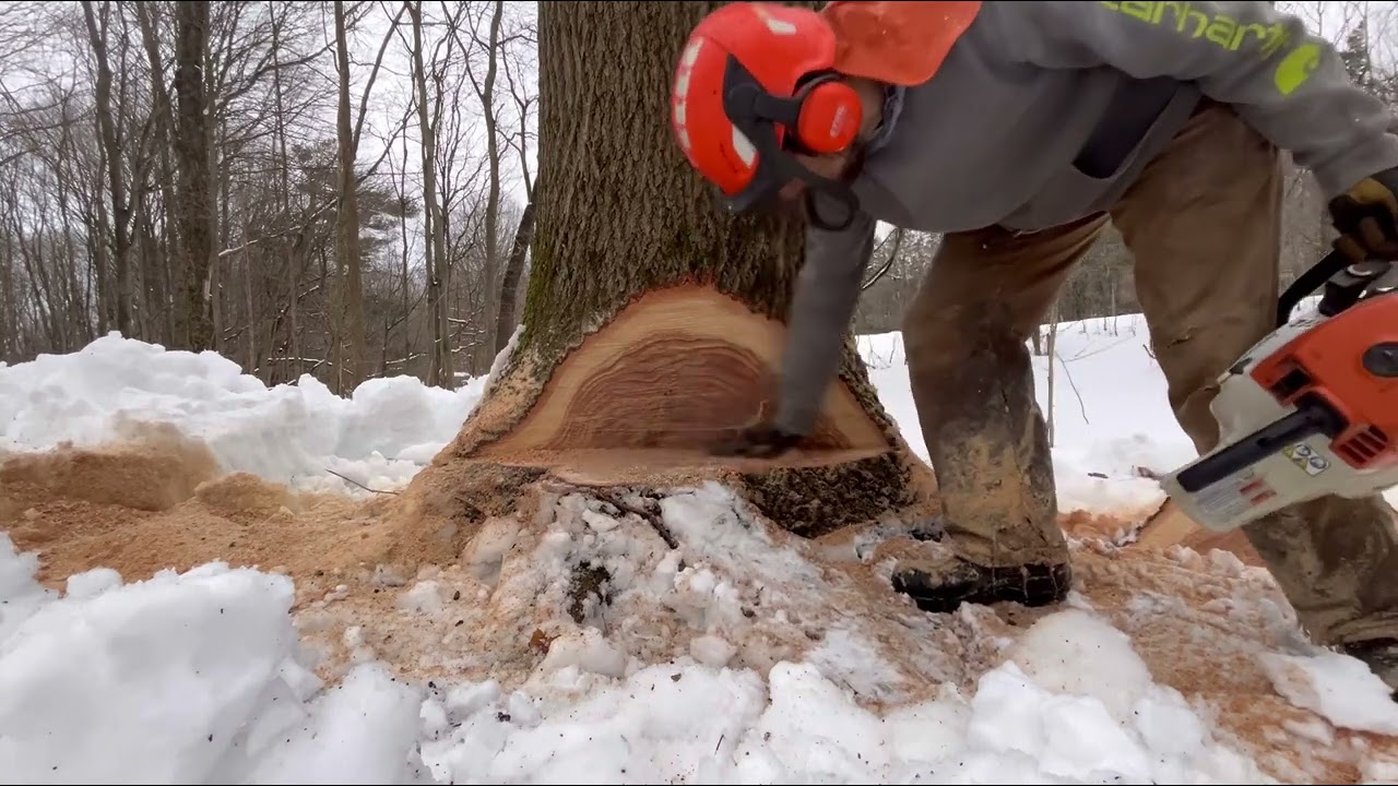 Cutting and skidding in deep snow