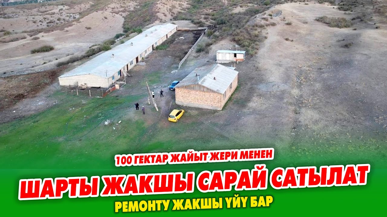 110 баш БУКА, 130 баш КОЙго ылайык чоӊ САРАЙ сатылат ~ Кызыл китеби бар