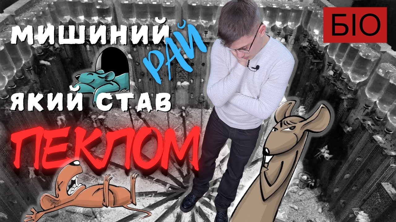 Як рай став пеклом - все пішло не за планом. Мишиний РАЙ. Всесвіт 25. The universe 25  @Біо