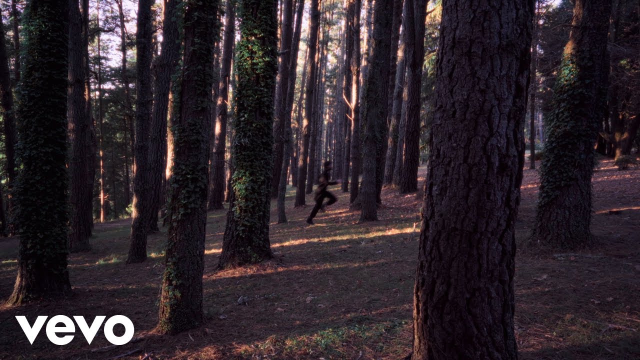 Winterbourne - Velvet, Honey & Wine (Official Video)