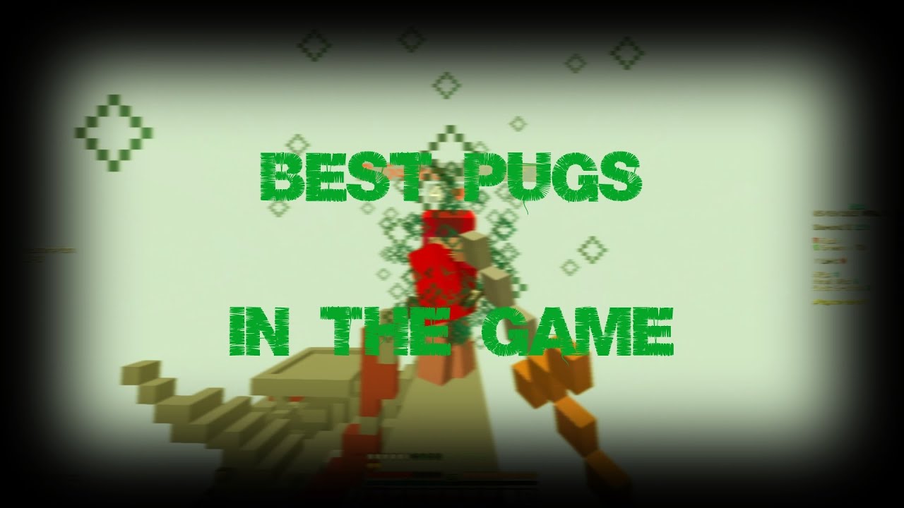 Best PUGS In The Game - Ranked BedWars Montage