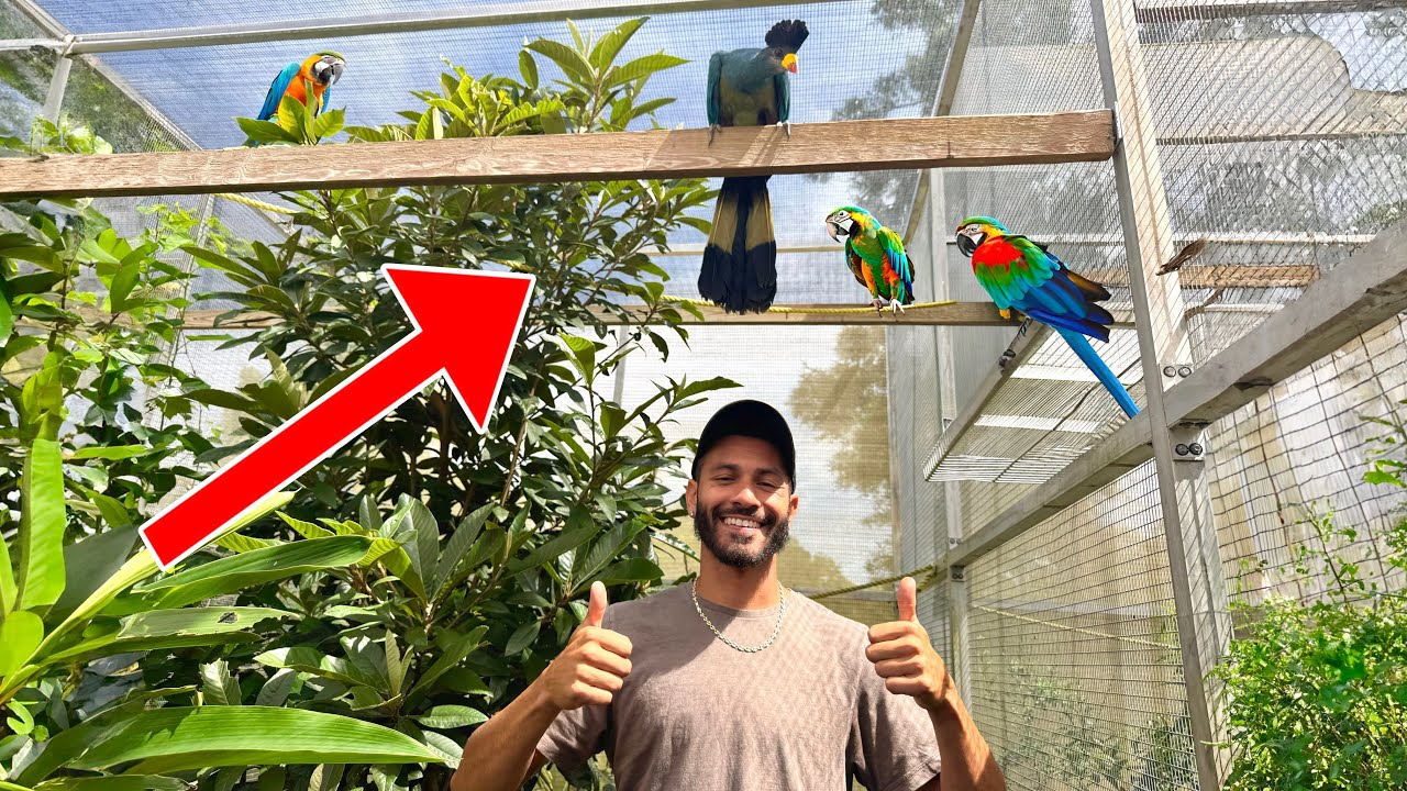We Visited The RAREST BIRD Collection In FLORIDA!!