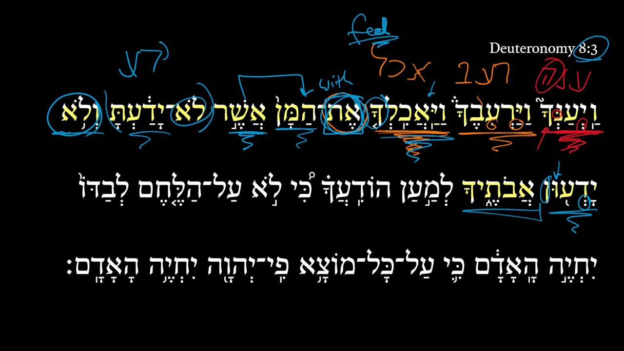 Deuteronomy 8:3a