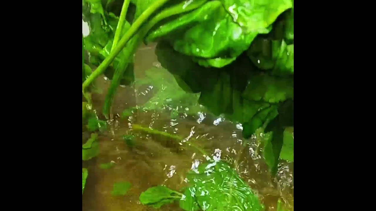11 बहुत काम आने वाले किचन टिप्स | Useful Kitchen Hacks in Hindi 2025