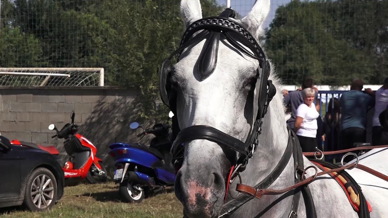 Na Malu Gospojinu održana Banovačka fijakerijada