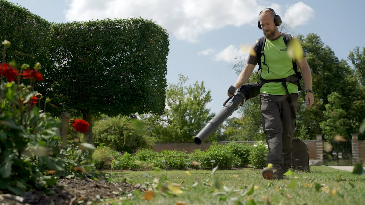 Donker Groen | Park Vordenstein in Schoten