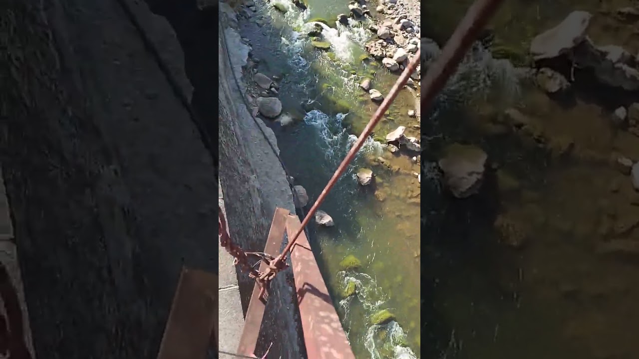Bridge (I was scared) 