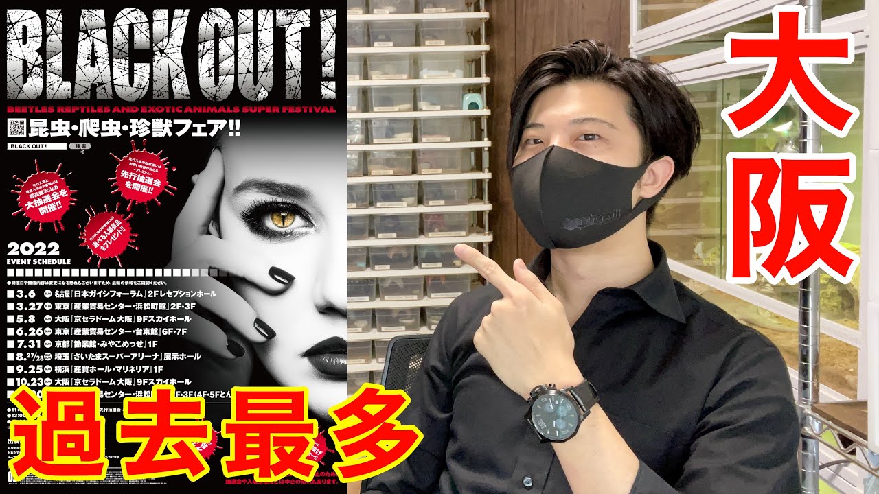 大阪開催の『爬虫類イベント』が大人気すぎて熱い！！【会場紹介｜ブラックアウト｜BLACK OUT!】