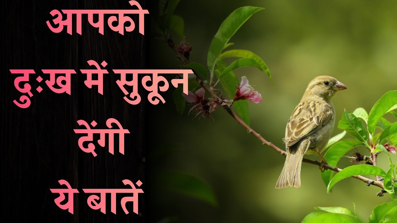 मन को शांति और सुकून देंगी ये बातें। #motivationalquotes #shayari