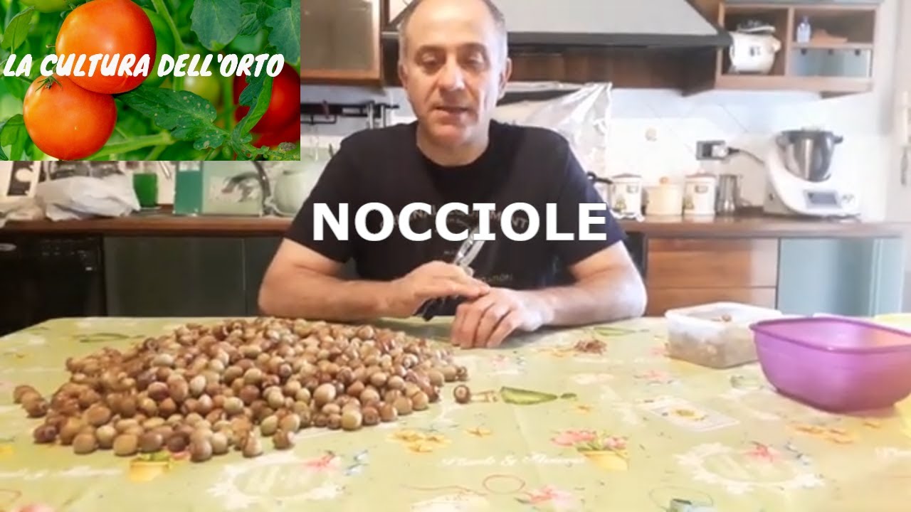 Come conservare le nocciole. Buone tutto l'anno.