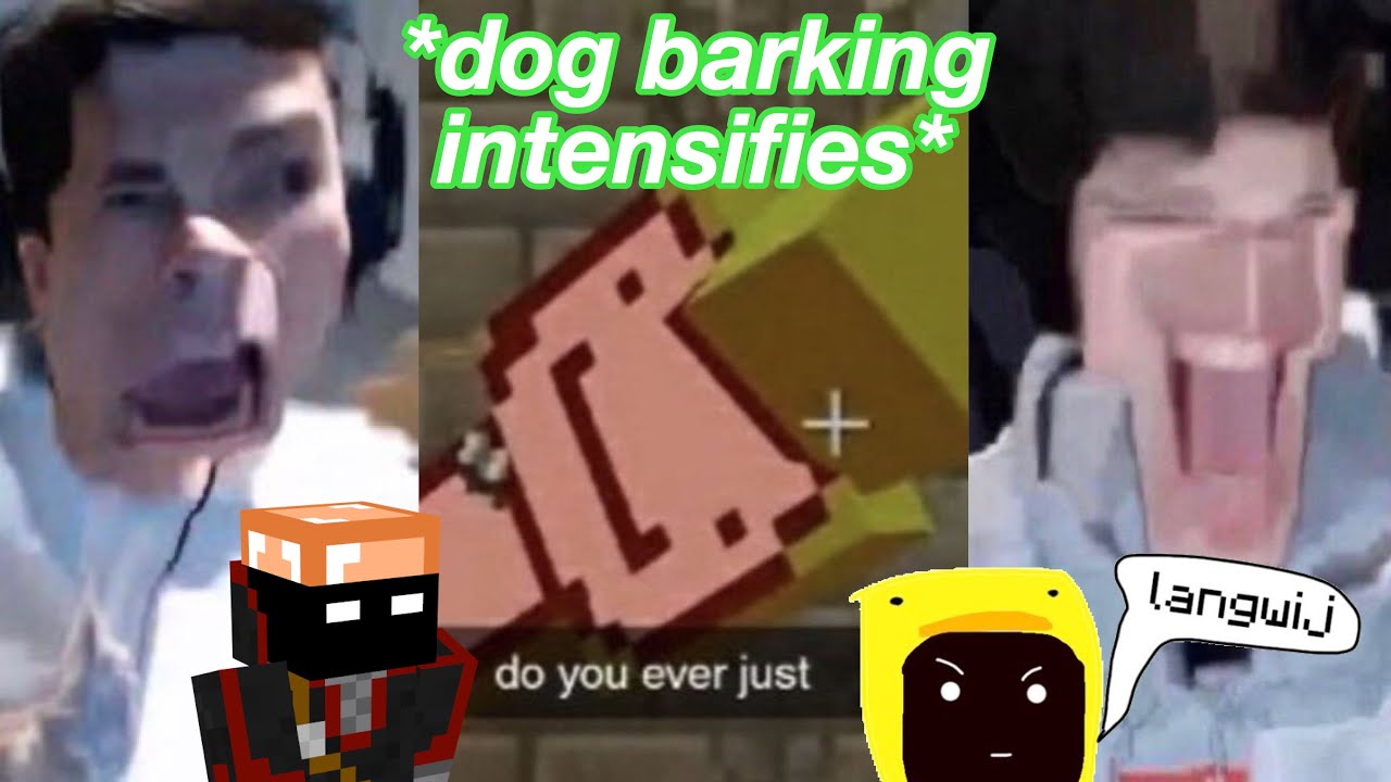 dream, georgenotfound and badboyhalo being CRACKHEADS for 10 minutes straight 🤪