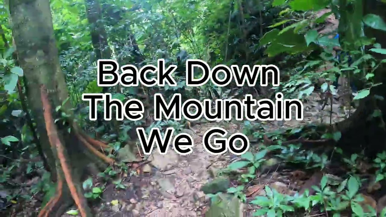 Fast-Forward Through the Jungle 🌿 | La Ceiba to El Bejuco Falls