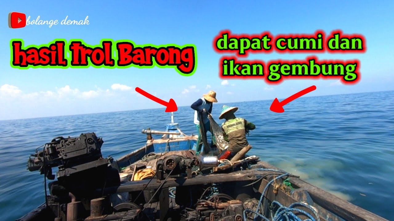 trol barong khusus cumi dan ikan gembung