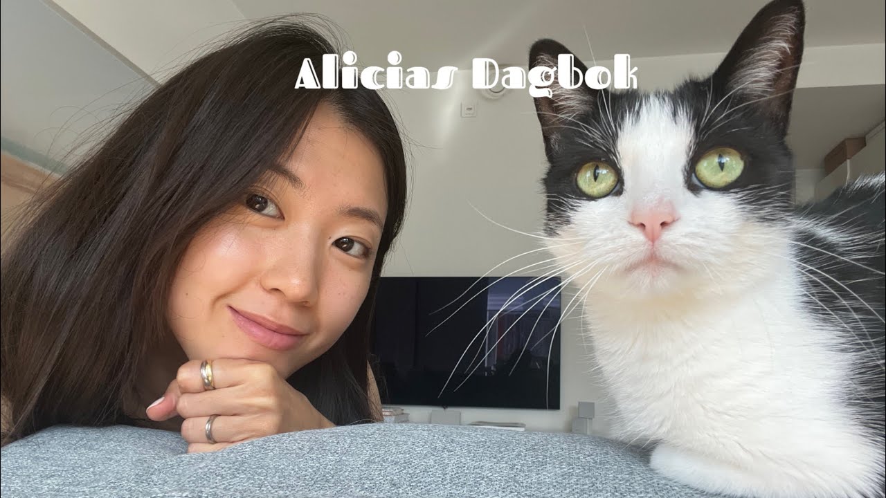 [eng] VLOG | 고양이들과 보내는 평범한 일상 브이로그 🐱 | My ordinary days with the cats 🐯