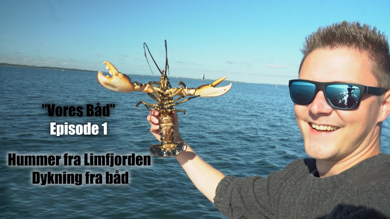 Store hummere fra limfjorden! - Dykning fra båd