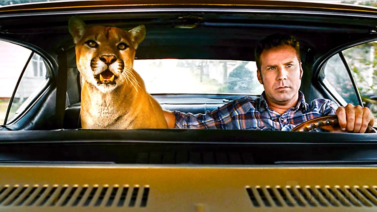 He has to learn to drive with a Cougar (The Animal) | Talladega Nights: The Ballad of Ricky Bobby