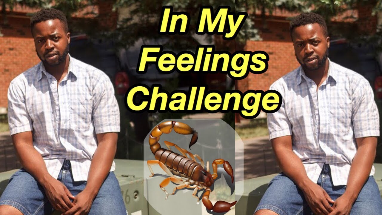 IN MY FEELINGS DRAKE DANCE CHALLENGE | DO THE SHIGGY CHALLENGE PLUS COMPILATION