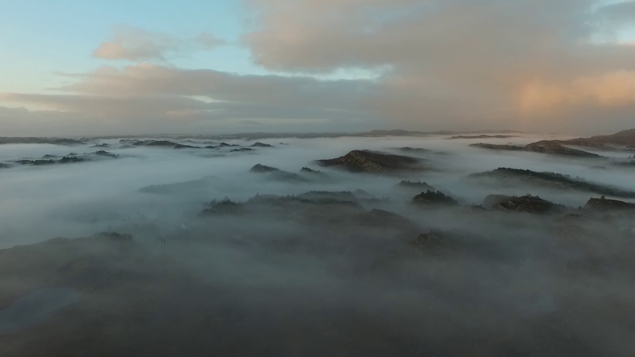 Fog in skogsv&aring;g