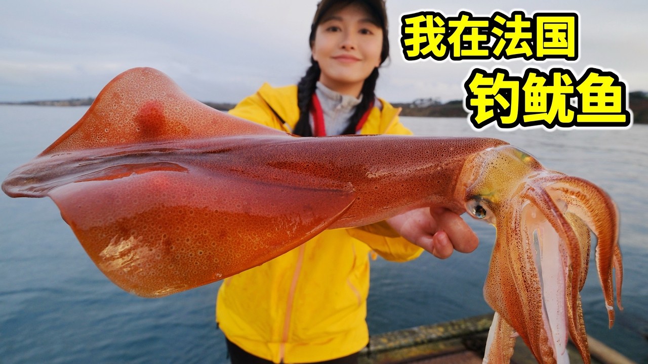 法国钓鱿鱼，耗时3天钓赤红火箭鱿，麻辣爆炒味道鲜！| 钓鱼 | 赶海 | 鱿鱼 | 法国 | 海鲜 | 农村 |