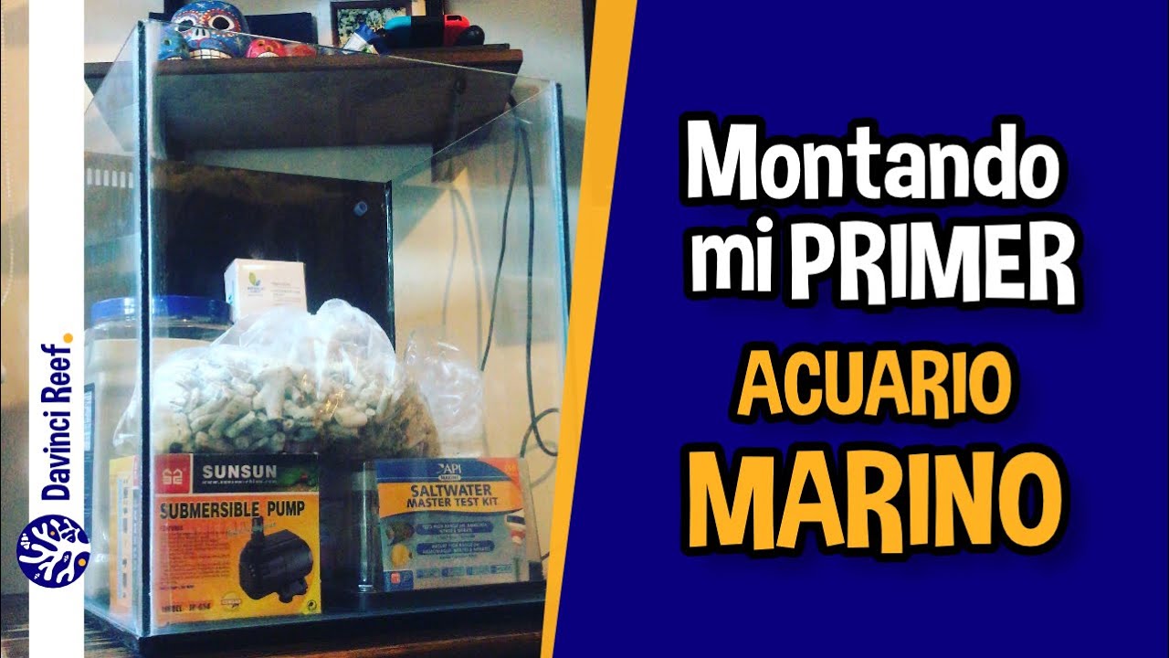 Mi primera pecera marina - Como Montar un Acuario Marino de 50 litros. ¡Muy fácil!