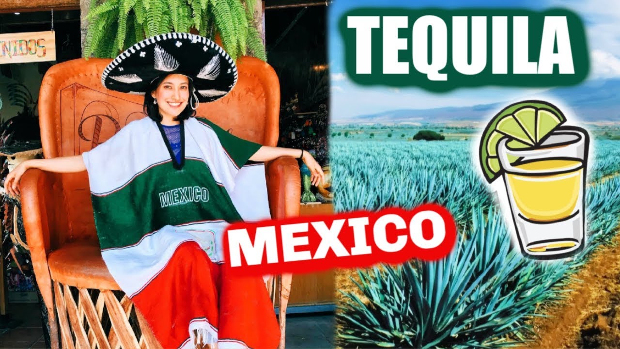 TEQUILA: MAGIC town in MEXICO, DISTILLERY tour!🇲🇽😱
