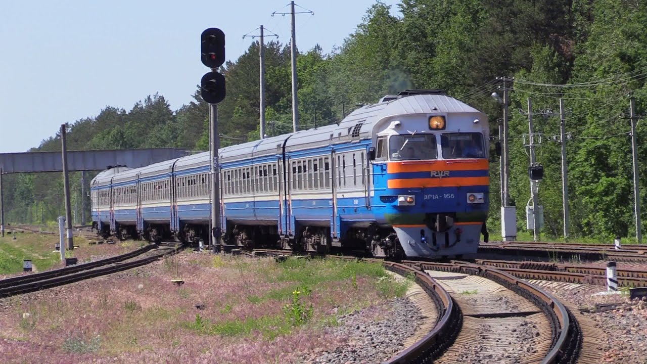 Дизель-поезд ДР1А-166 на ст. Лисички / DR1A-166 DMU at Lisichki station