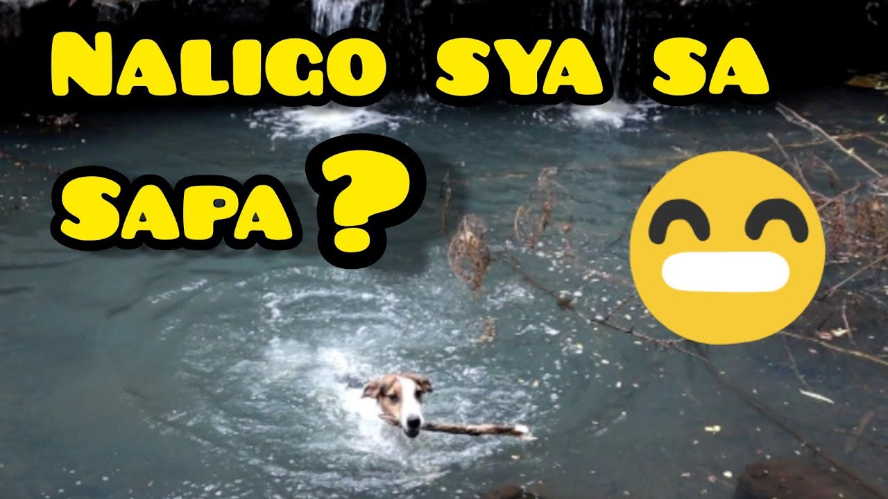 SWIMMING
