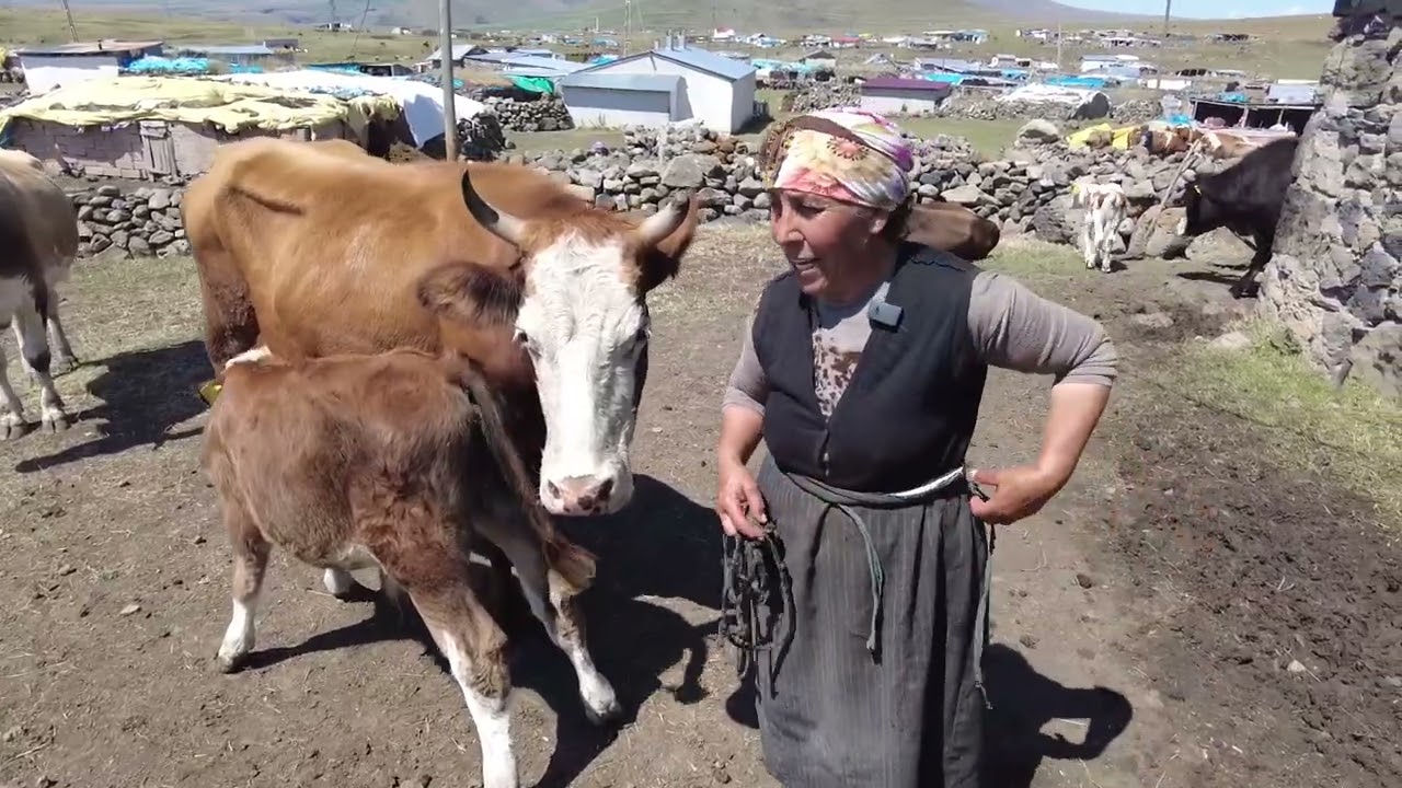 Bir Yayla Hikayesi       Nahide YAMEN