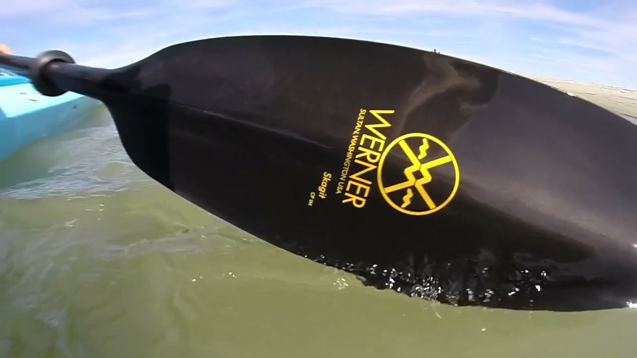 Werner Paddles-Skagit FG