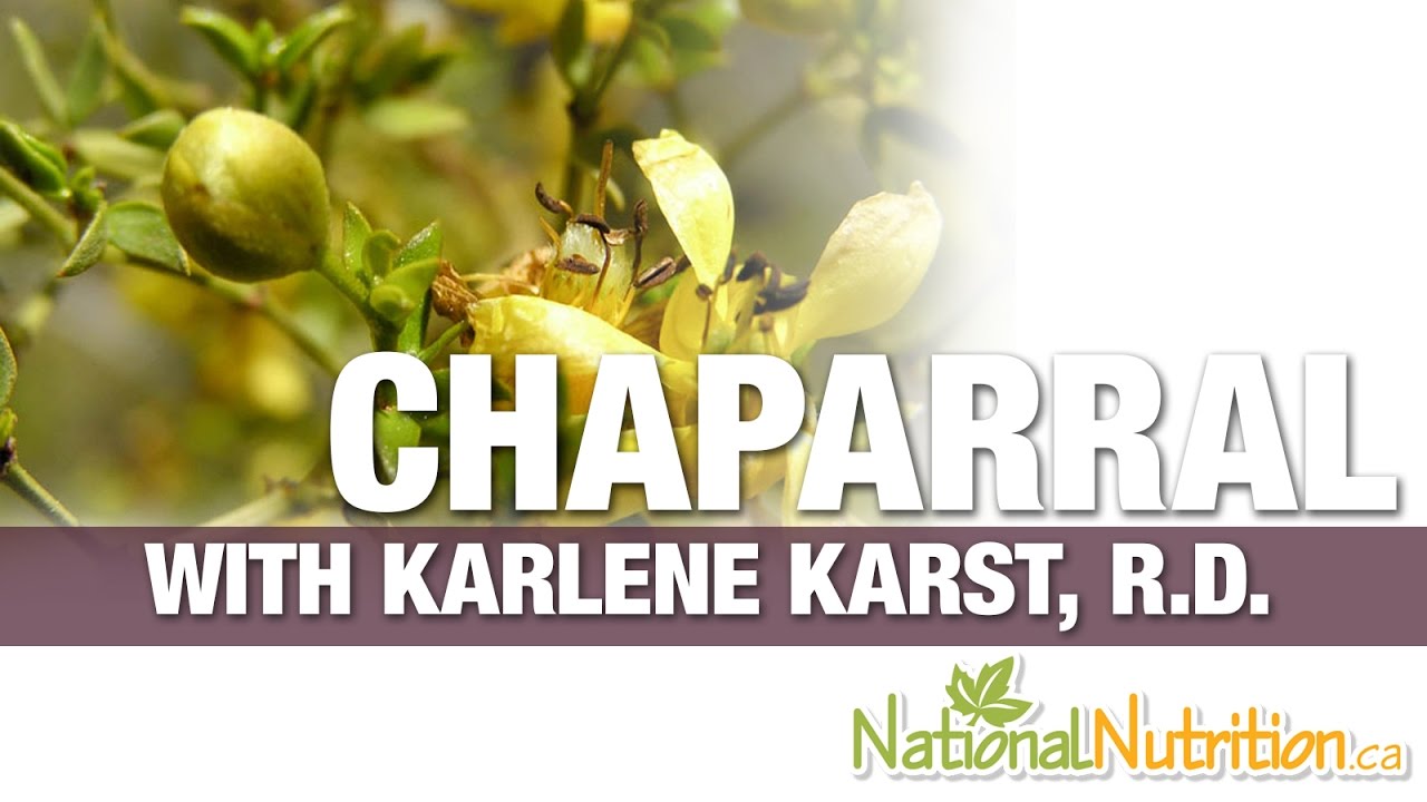 Chaparral - Natural Blood Cleanser - Professional Supplement Review | National Nutrition
