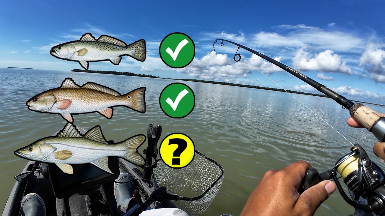 Can I Catch an Everglades Slam from my Kayak?