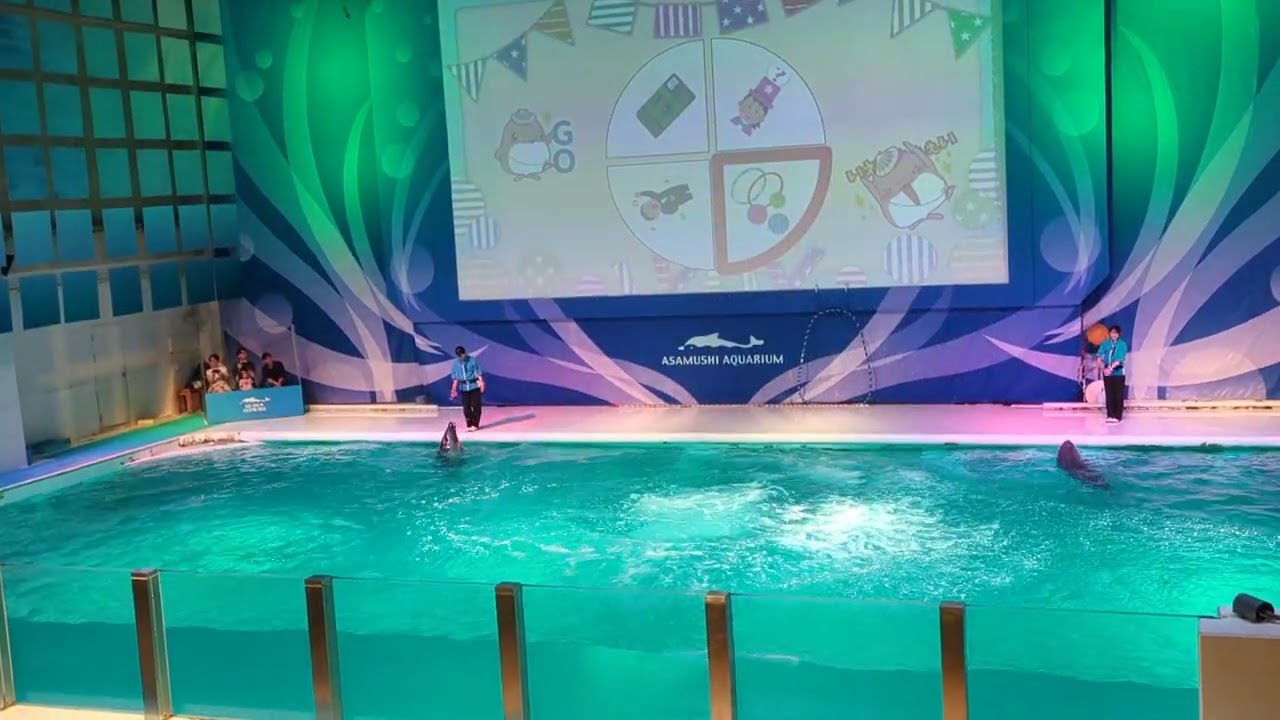 0727浅虫水族館イルカショー