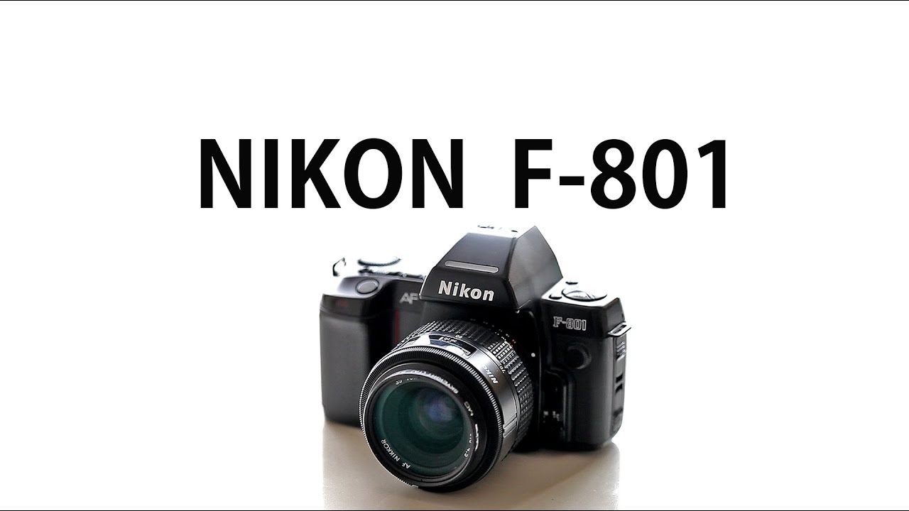 Nikon f 801 film camera. 그 시절 우리가 사랑했던 카메라