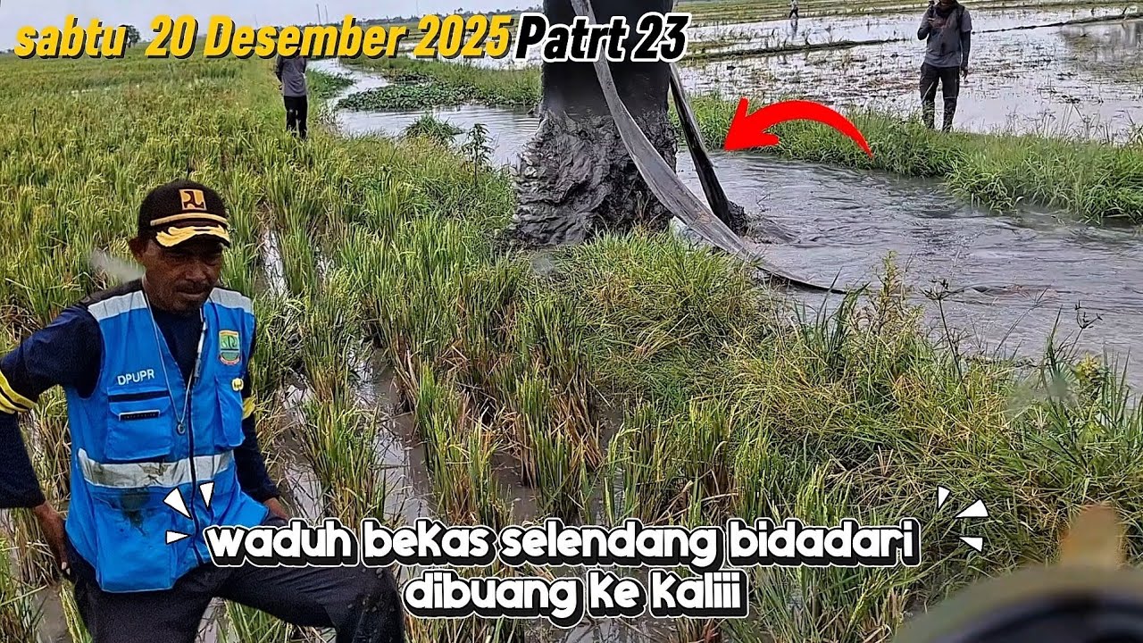 ‼️kacauuu slendang bidadari di buang ke kali Normalisasi kali kutaampel, karawang